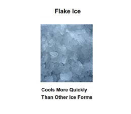 Flake Ice