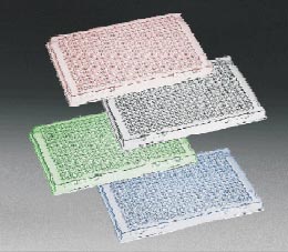 PCR Plates