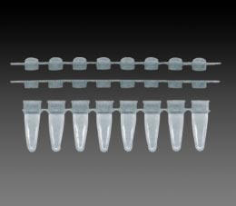 PCR Reaction Srrips