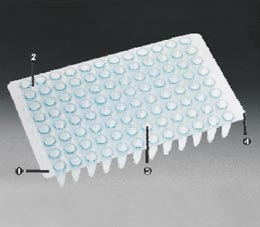 PCR Plates