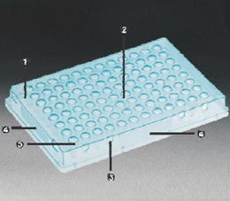 PCR Plates