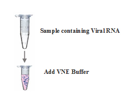 uvc-disinfection-system