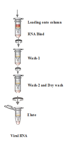 uvc-disinfection-system